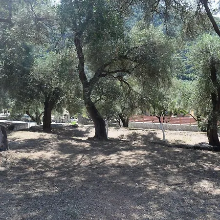 Lisipio By Eleni פאלאוקסטריצה